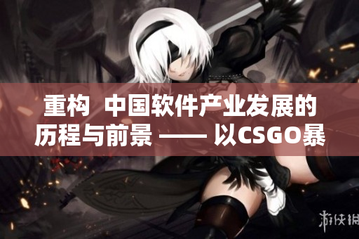重构  中国软件产业发展的历程与前景 —— 以CSGO暴躁小阿姨为例