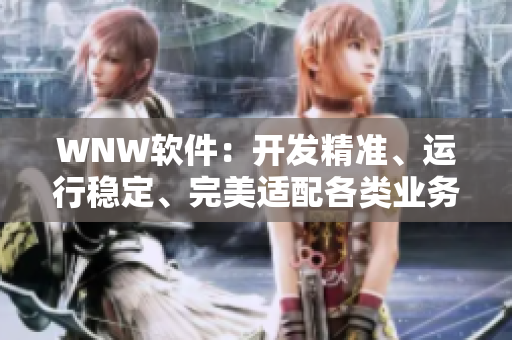 WNW软件：开发精准、运行稳定、完美适配各类业务场景的首选！