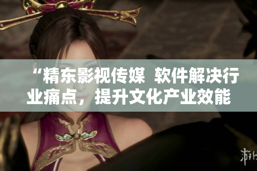 “精东影视传媒  软件解决行业痛点，提升文化产业效能”