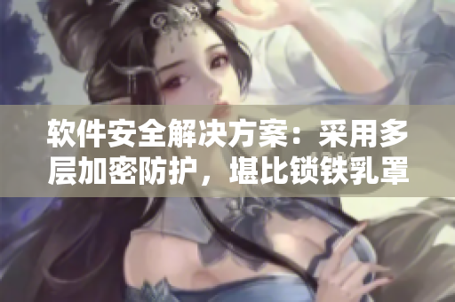 软件安全解决方案：采用多层加密防护，堪比锁铁乳罩手铐脚镣项圈之力!