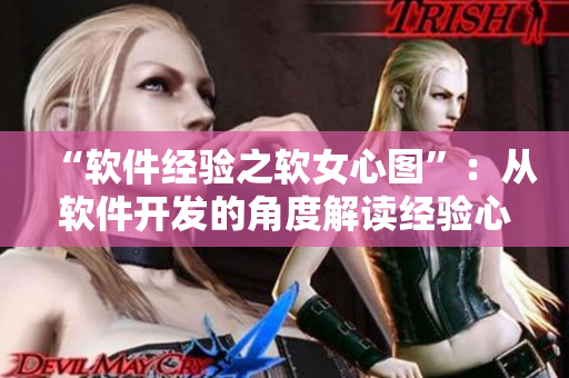 “软件经验之软女心图”：从软件开发的角度解读经验心得