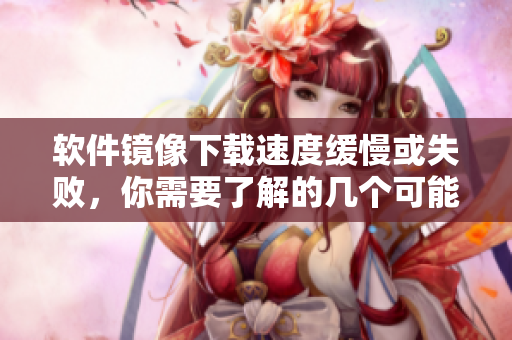 软件镜像下载速度缓慢或失败，你需要了解的几个可能原因