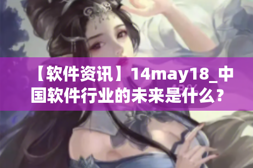 【软件资讯】14may18_中国软件行业的未来是什么？