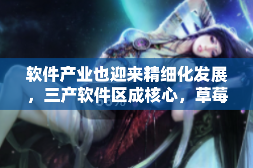 软件产业也迎来精细化发展，三产软件区成核心，草莓式精品生产引领新浪潮