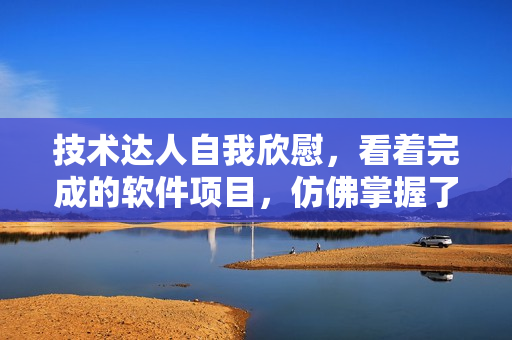 技术达人自我欣慰，看着完成的软件项目，仿佛掌握了世界