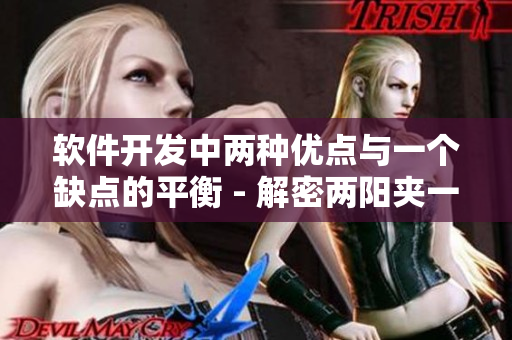 软件开发中两种优点与一个缺点的平衡 - 解密两阳夹一阴的软件开发策略
