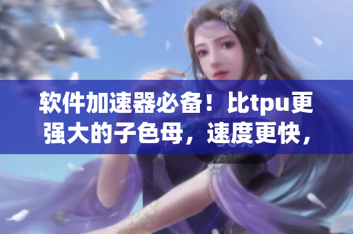 软件加速器必备！比tpu更强大的子色母，速度更快，性能更高的革新