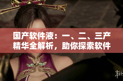 国产软件液：一、二、三产精华全解析，助你探索软件世界的奥秘