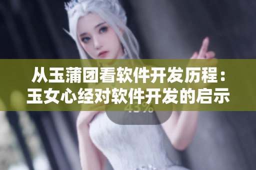 从玉蒲团看软件开发历程：玉女心经对软件开发的启示