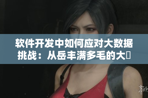 软件开发中如何应对大数据挑战：从岳丰满多毛的大隂户中获得启发