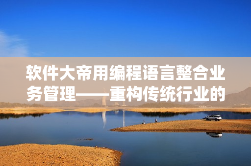 软件大帝用编程语言整合业务管理——重构传统行业的故事