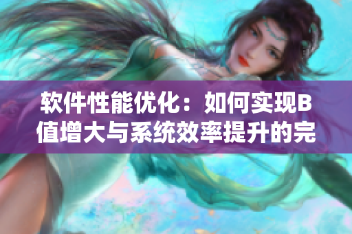 软件性能优化：如何实现B值增大与系统效率提升的完美平衡？
