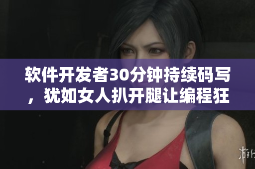 软件开发者30分钟持续码写，犹如女人扒开腿让编程狂人爆插