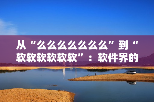 从“么么么么么么么”到“软软软软软软”：软件界的跨越式发展