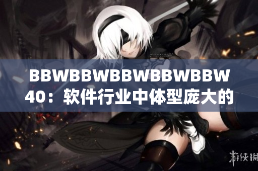 BBWBBWBBWBBWBBW40：软件行业中体型庞大的挑战，如何应对？