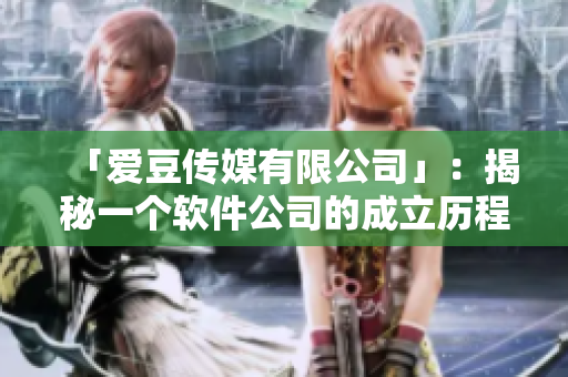 「爱豆传媒有限公司」：揭秘一个软件公司的成立历程