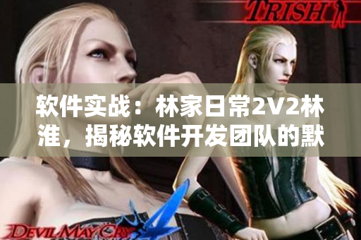 软件实战：林家日常2V2林淮，揭秘软件开发团队的默契配合技巧