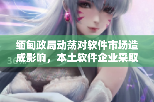 缅甸政局动荡对软件市场造成影响，本土软件企业采取升级策略应对局势