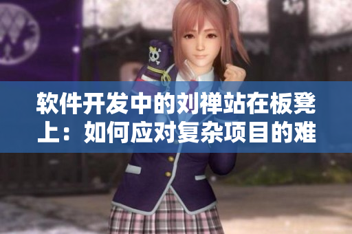 软件开发中的刘禅站在板凳上：如何应对复杂项目的难题？