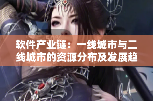 软件产业链：一线城市与二线城市的资源分布及发展趋势