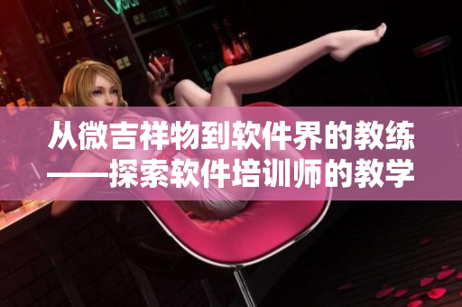 从微吉祥物到软件界的教练——探索软件培训师的教学技能