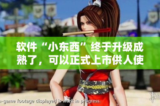 软件“小东西”终于升级成熟了，可以正式上市供人使用了