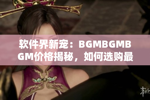 软件界新宠：BGMBGMBGM价格揭秘，如何选购最合适的软件工具？