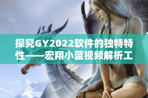 探究GY2022软件的独特特性——宏翔小蓝视频解析工具