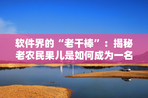 软件界的“老干棒”：揭秘老农民果儿是如何成为一名优秀的软件工程师的