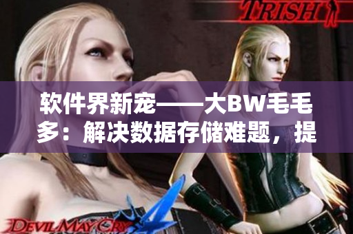 软件界新宠——大BW毛毛多：解决数据存储难题，提高工作效率