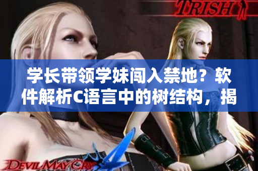学长带领学妹闯入禁地？软件解析C语言中的树结构，揭露树林内的秘密
