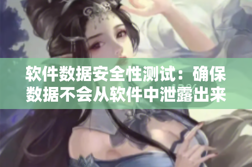 软件数据安全性测试：确保数据不会从软件中泄露出来