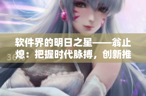 软件界的明日之星——翁止熄：把握时代脉搏，创新推动行业发展