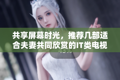 共享屏幕时光，推荐几部适合夫妻共同欣赏的IT类电视剧