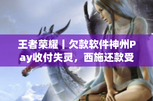 王者荣耀丨欠款软件神州Pay收付失灵，西施还款受阻！