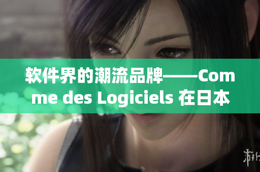 软件界的潮流品牌——Comme des Logiciels 在日本引发热潮