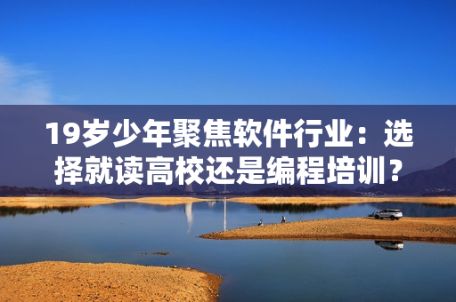 19岁少年聚焦软件行业：选择就读高校还是编程培训？