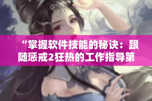 “掌握软件技能的秘诀：跟随惩戒2狂热的工作指导第2集”