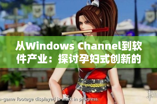 从Windows Channel到软件产业：探讨孕妇式创新的秘密