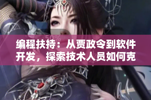 编程扶持：从贾政令到软件开发，探索技术人员如何克服难关
