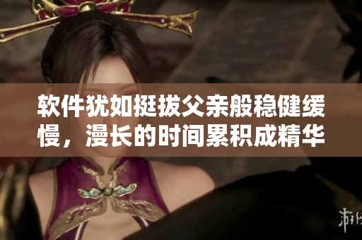软件犹如挺拔父亲般稳健缓慢，漫长的时间累积成精华，这是它本质的魅力