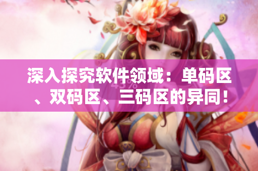 深入探究软件领域：单码区、双码区、三码区的异同！
