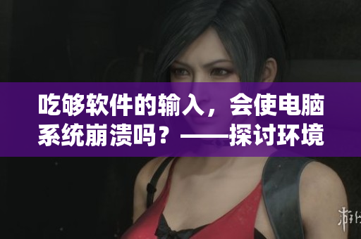 吃够软件的输入，会使电脑系统崩溃吗？——探讨环境变量的安全性问题