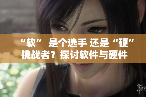 “软” 是个选手 还是“硬” 挑战者？探讨软件与硬件的博弈