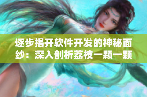 逐步揭开软件开发的神秘面纱：深入剖析荔枝一颗一颗的推进过程