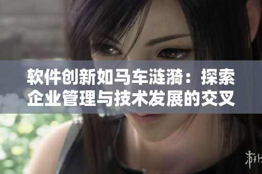 软件创新如马车涟漪：探索企业管理与技术发展的交叉点
