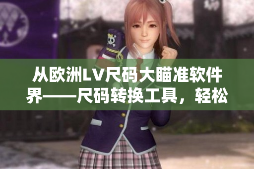 从欧洲LV尺码大瞄准软件界——尺码转换工具，轻松应对跨国软件购买