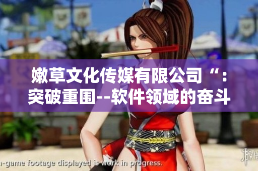 嫩草文化传媒有限公司“：突破重围--软件领域的奋斗历程