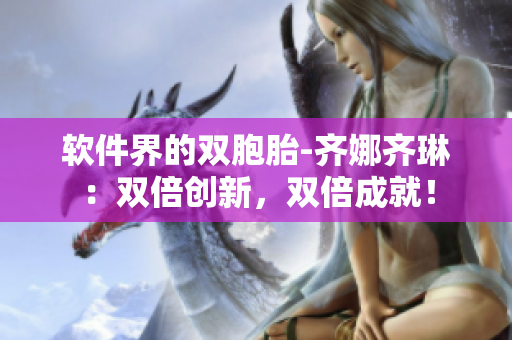 软件界的双胞胎-齐娜齐琳：双倍创新，双倍成就！