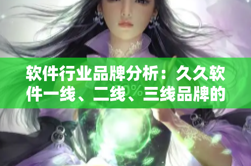 软件行业品牌分析：久久软件一线、二线、三线品牌的优势与劣势